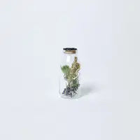 Dried Florals in Glass Harapan