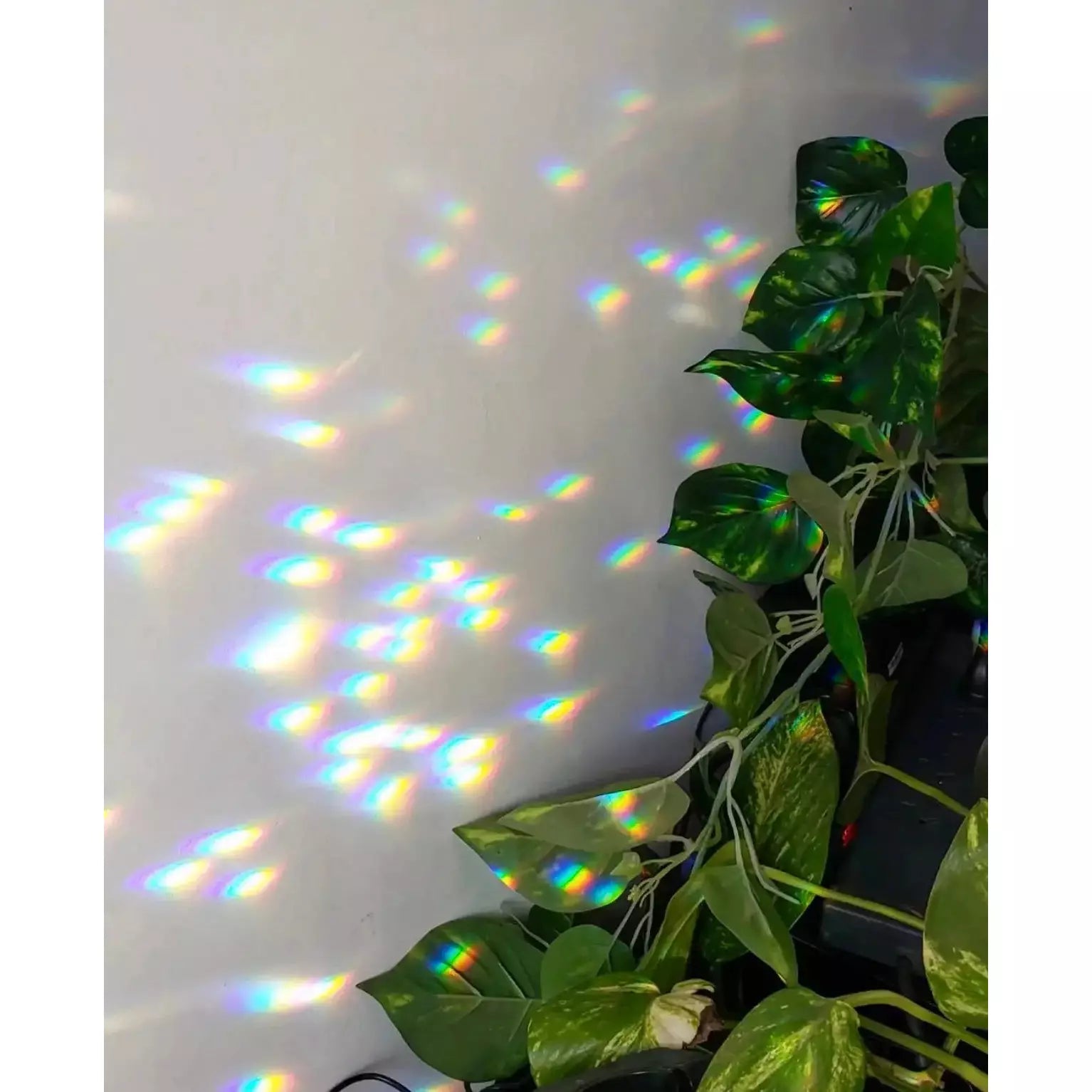 Goldy Sun Catcher